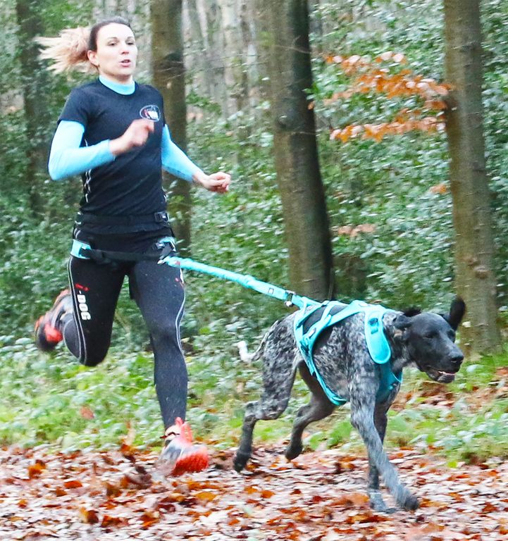 Baudrier Canicross CANYON - Idog